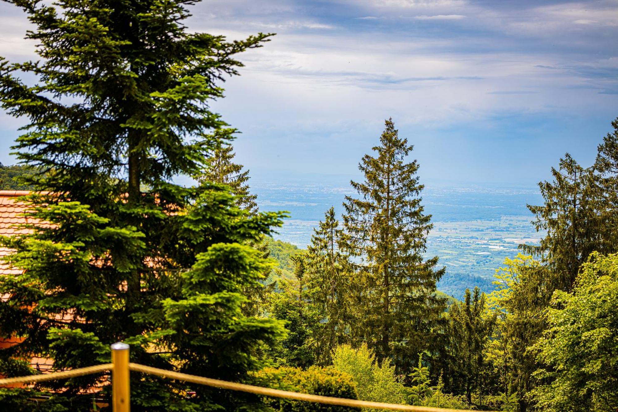 Sonnenhaeusle - Natur. Fernblick. Panorama-Sauna. ساسباشفالدن المظهر الخارجي الصورة