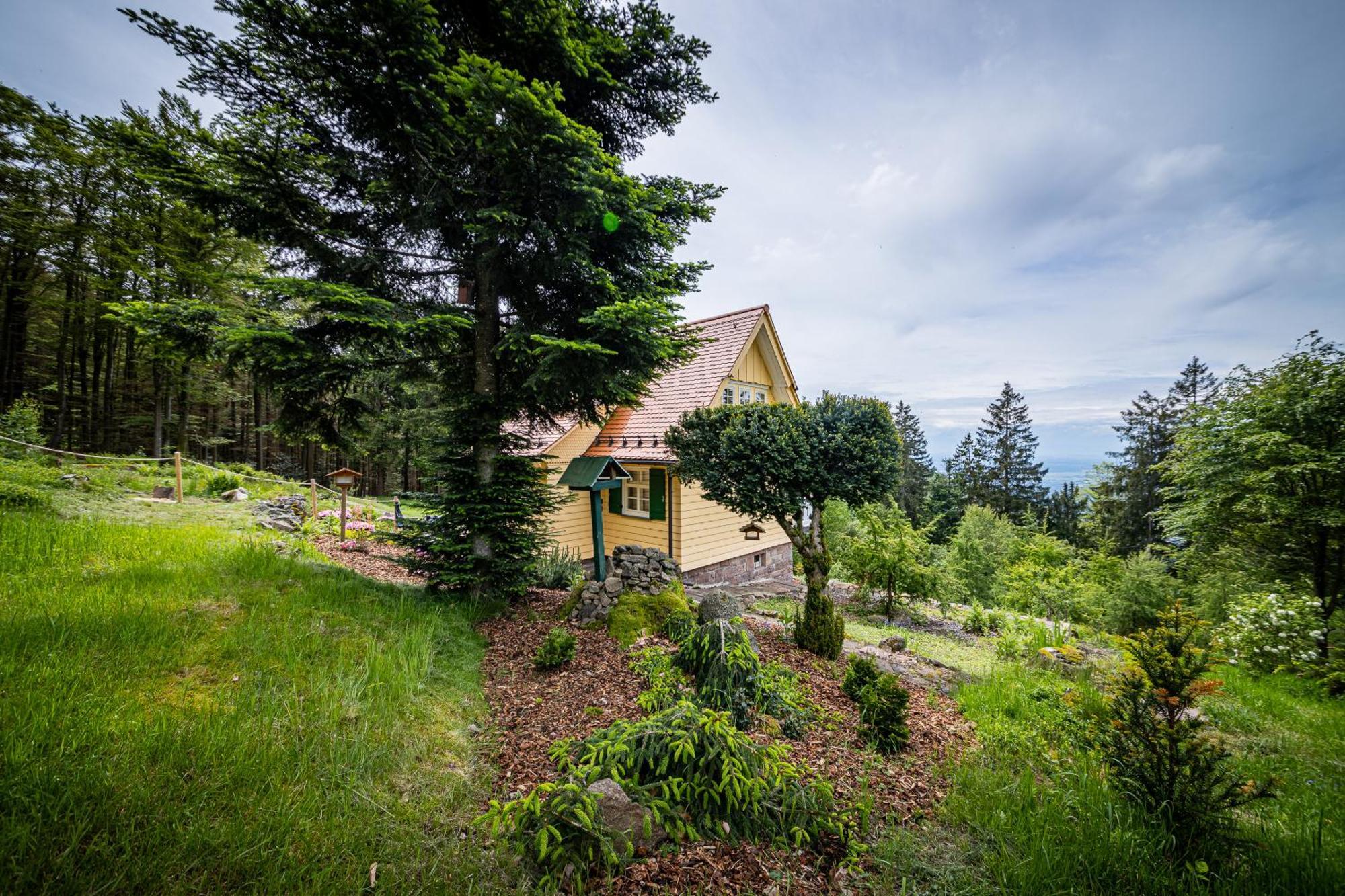 Sonnenhaeusle - Natur. Fernblick. Panorama-Sauna. ساسباشفالدن المظهر الخارجي الصورة