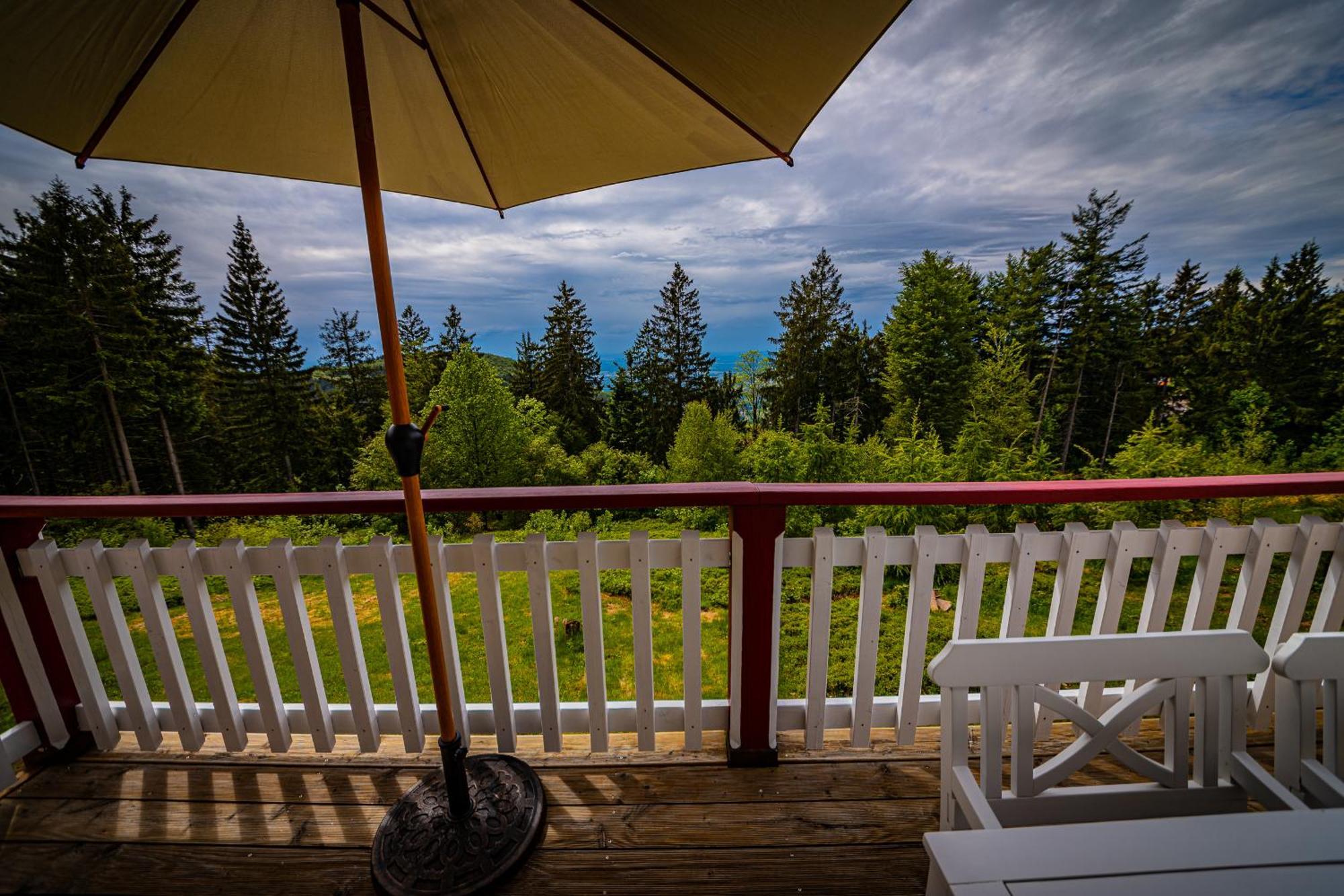 Sonnenhaeusle - Natur. Fernblick. Panorama-Sauna. ساسباشفالدن المظهر الخارجي الصورة