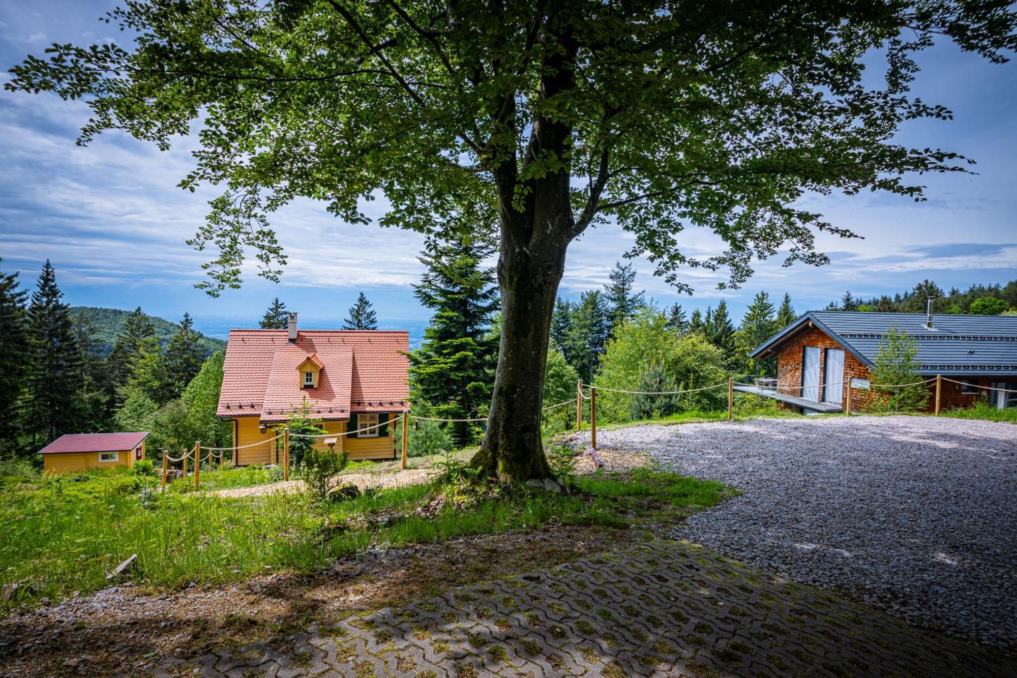 Sonnenhaeusle - Natur. Fernblick. Panorama-Sauna. ساسباشفالدن المظهر الخارجي الصورة